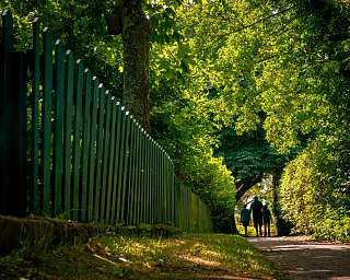 PK Spiekeroog 1044570